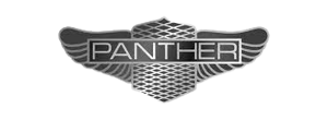 Logo Panther