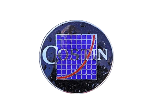 Logo Costin