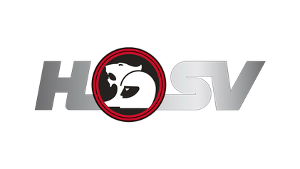 Logo HSV