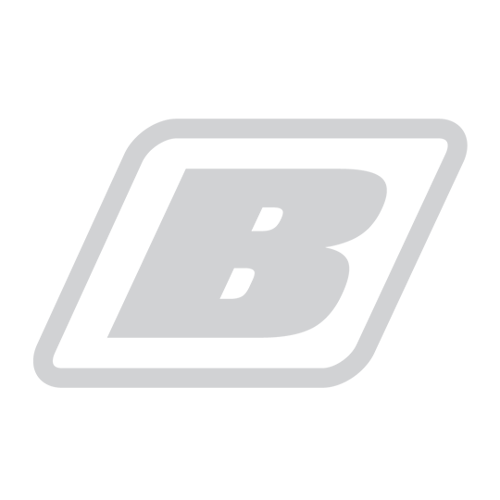 Logo Bussink