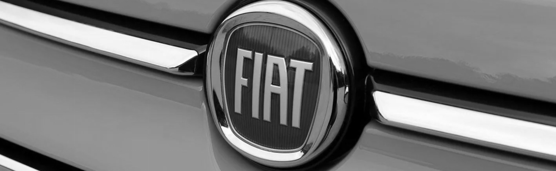 Banner Fiat