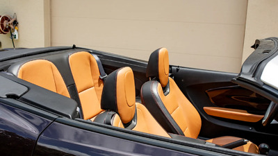 Amber LeatherInterior image