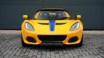 Saffron YellowColor image