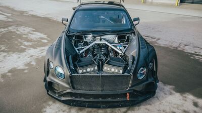 Exposed Carbon FibreColor image