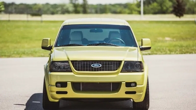 Lime GoldColor image