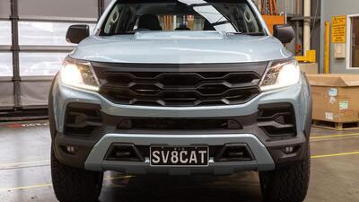 Panorama SilverColor image