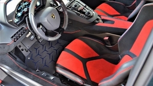 Nero Cosmus / Rosso Alala Alcantara - Rosso Alala Stitching / PipingInterior image