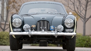 Dark GreenColor image