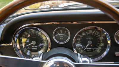 SaddleInterior image