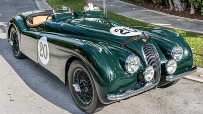 Dark GreenColor image