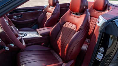 Cricket Ball LeatherInterior image