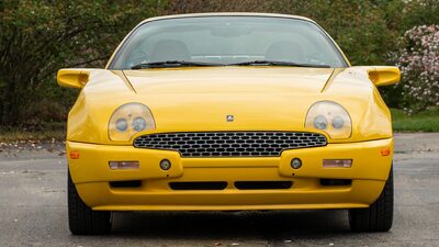 Tigre YellowColor image