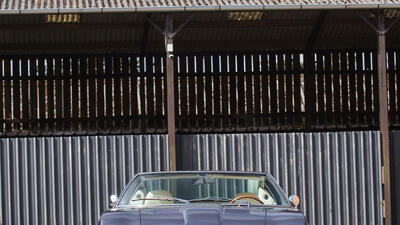 Blu PervincaColor image