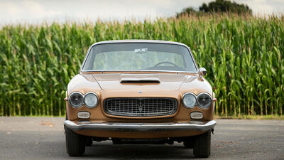 Oro LongchampsColor image