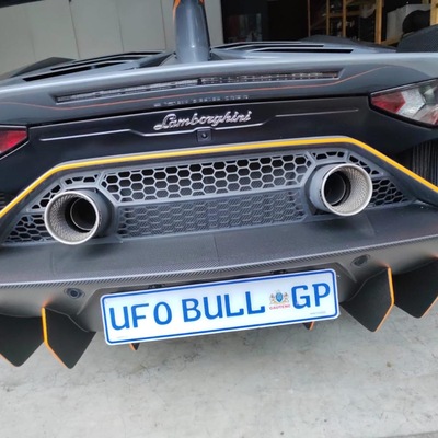 UFObull