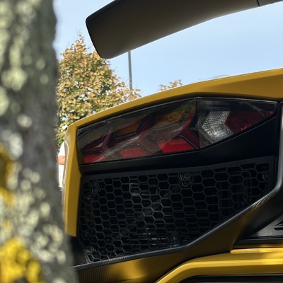 nz_carz
