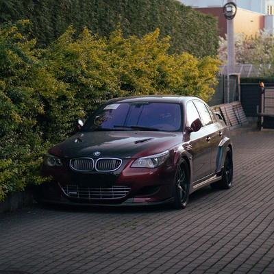 Whip3kGT