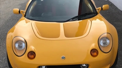 Lotus YellowColor image