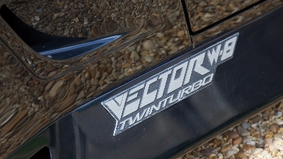Vector W8