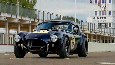 Cobra 289