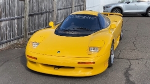 YellowColor image