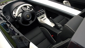Nero Leather - Bianco PipingInterior image