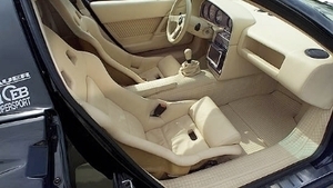 Champagne LeatherInterior image