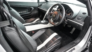 Nero Perseus / Bianco Polar LeatherInterior image