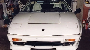 WhiteColor image
