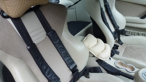 Oyster Cream Alcantara / LeatherInterior image