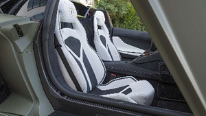 Bianco Polar Leather / Nero Cosmus Alcantara - Oro Electrum Stitching - PipingInterior image