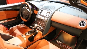 Silver Arrow Copper LeatherInterior image