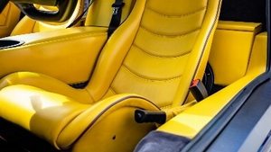 Mustard LeatherInterior image