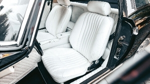 WhiteInterior image