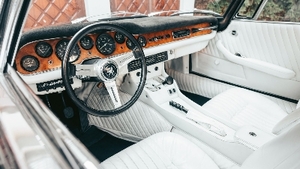WhiteInterior image