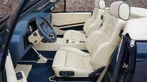 Tan LeatherInterior image