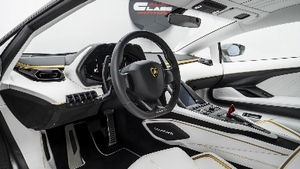 Bianco Polar Leather - Oro Stitching / PipingInterior image