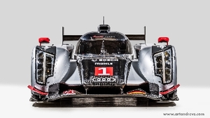 Audi Sport LiveryColor image