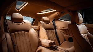 Cuoio LeatherInterior image