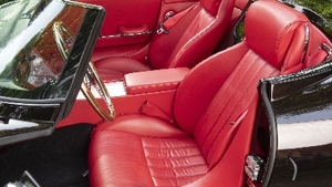 Speedster Red LeatherInterior image