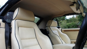 Magnolia Leather - Blue PipingInterior image