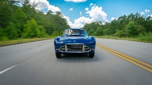 BlueColor image