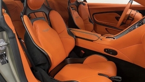 Californian Poppy LeatherInterior image