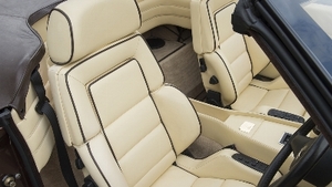 Magnolia LeatherInterior image