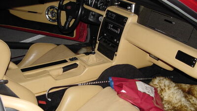 Buffle Sherpa Sport LeatherInterior image