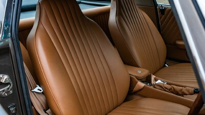 Camel Birch LeatherInterior image