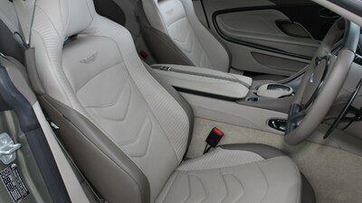 Bison Brown LeatherInterior image