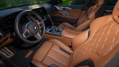 Taruma Brown Merino LeatherInterior image