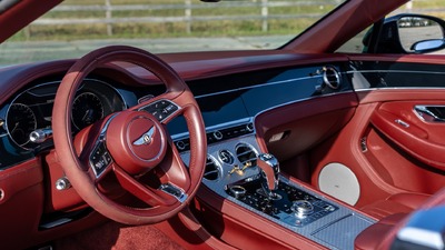Cricket Ball LeatherInterior image