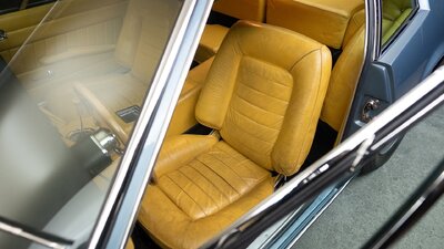 Senape LeatherInterior image